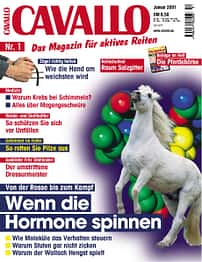 CAV Januar 2001 Cover