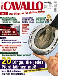 CAV Januar 2003 Cover