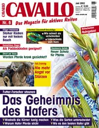 CAV Juni 2002 Cover