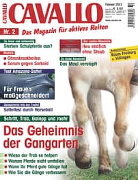 CAV Februar 2003 Cover