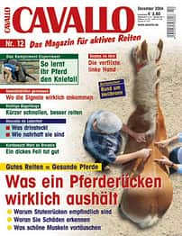CAV Dezember 2004 Cover
