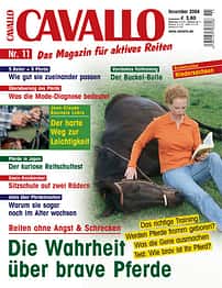 CAV November 2004 Cover