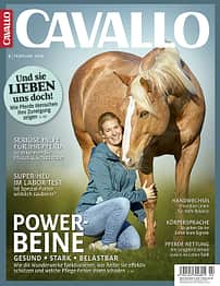 CAV 0218 Titel Heft Cover Februar
