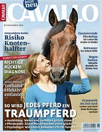 CAV Titel November 2016