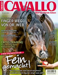 CAV Titel Juli 2016