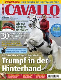 CAV Titel Januar 2012