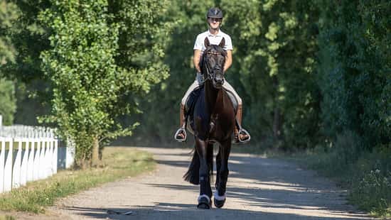 Moritz Treffinger auf dem Pferd beim Ausritt