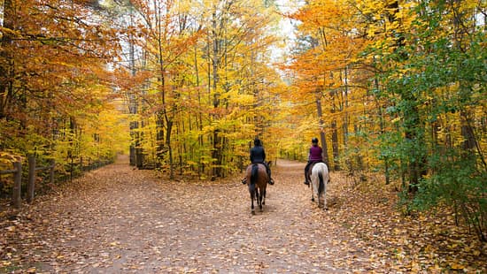 Austausch zwischen Radfahrer und Reiter