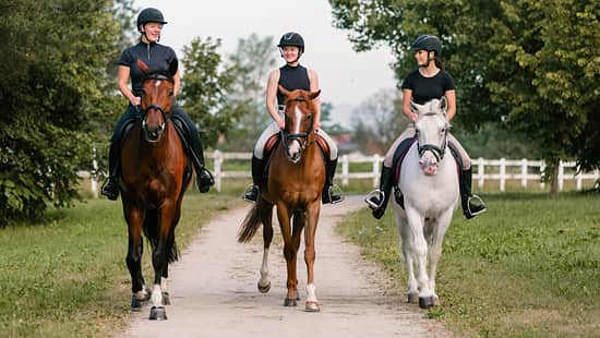 Drei Mädchen reiten mit ihren Pferden einen Trail entlang.