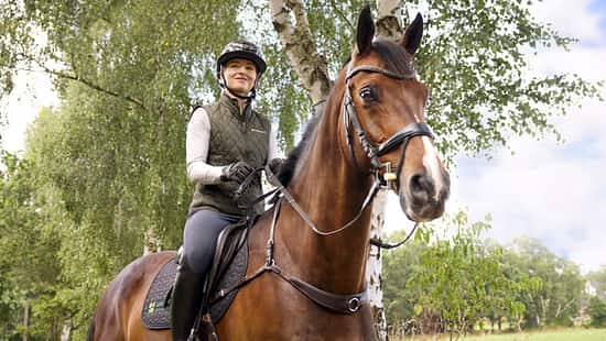 Wenn dein Pferd krank wird oder sich verletzt, zählt schnelle Hilfe. Eine gute Absicherung hält dir den Rücken frei