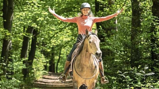 Das Foto zeigt eine Reiterin mit Reithelm auf einem Pferd beim Ausritt auf einem schattigen Waldweg, die Arme seitlich ausgestreckt.