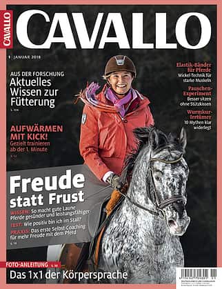 CAV Heft Januar 2018