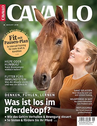 CAV Titel 8 August 2018 CAV Titel 8 August 2018