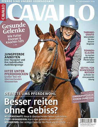 CAv Titel Cover November 2018 CAv Titel Cover November 2018