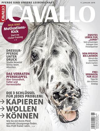 CAV Titel Cover Jnauar 2019 CAV Titel Cover Jnauar 2019