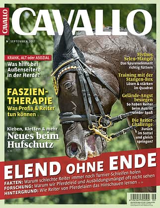 CAV Heft September 2017 Cover CAV Heft September 2017 Cover