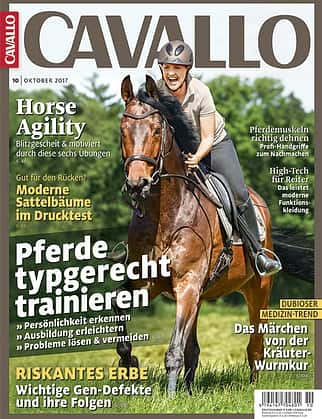 CAV 10/2017 Cover Titel