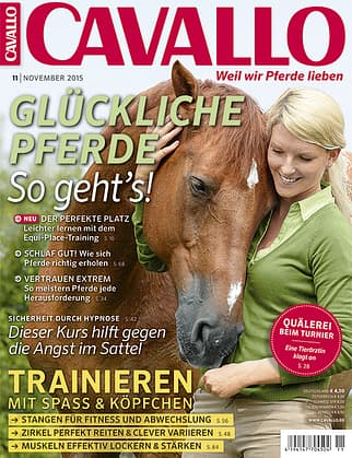 CAV November 2015 Titel CAV November 2015 Titel
