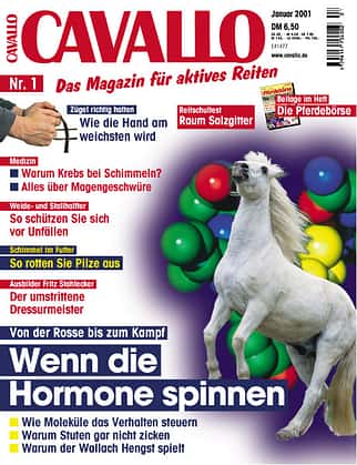 CAV Januar 2001 Cover