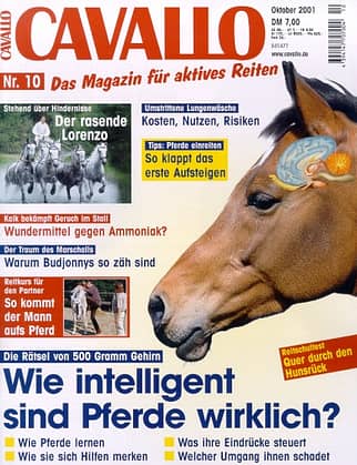 CAV Oktober 2001 Cover