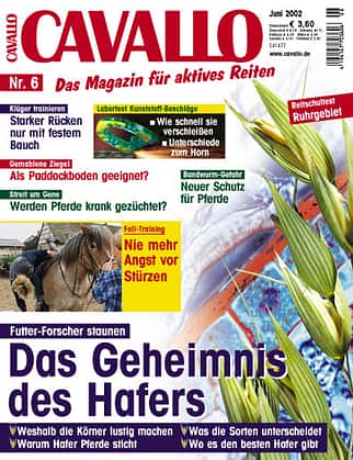 CAV Juni 2002 Cover