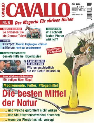 CAV Juni 2003 Cover CAV Juni 2003 Cover