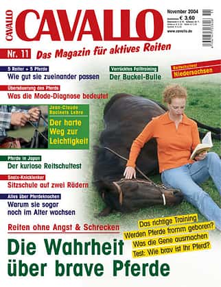 CAV November 2004 Cover