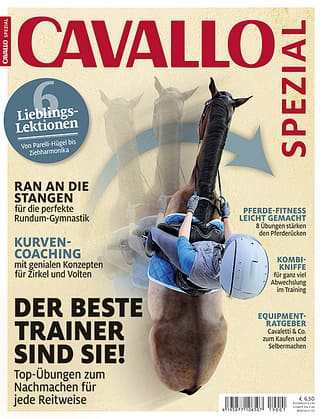 CAV Titel Cover 4a 2019 Sonderheft Training CAV Titel Cover 4a 2019 Sonderheft Training