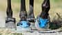 Test Hufschuhe