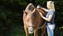 CAVALLO Test Massagegeräte 