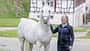 CAVALLO Vollblut, Warmblut, Herzblut, Landgestüt Marbach, Deckhengst Nasheed Al Amal mit Frau Astrid von Velsen-Zerweck CAVALLO Vollblut, Warmblut, Herzblut, Landgestüt Marbach, Deckhengst Nasheed Al Amal mit Frau Astrid von Velsen-Zerweck