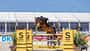 DKB Pferdewoche, Springen, Springreiten, Big Lady ZE, Tomma Thiesen, Oxer Big Lady ZE und Tomma Thiesen über dem Sprung beim Preis der Gebr. Schütt KG GmbH & Co.