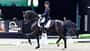Justin Verboomen mit Zonik Plus zu den Dutch Masters 2025