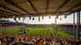 WM, Aachen Das Reitstadion der der Aachener Soers zur Eröffnungsfeier der WM in Aachen 2026.