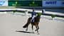 Steffen Peters mit seinem Pferd Suppenkasper in der Dressurarena: World Equestrian Festival CHIO Aachen 2022 - Day Ten