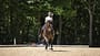Anna Den, Traversalen, Trainertag, Warendorf, Cavallo, Ridingtogether, Dressurreiten, Reittraining, Reitplatz, Dressurviereck, Reitsport, Pferd, Pikeur, Abus Anna Den und ihr Dunkelbrauner Feiner Prinz auf einem Dressurviereck im Freien in Warendorf.