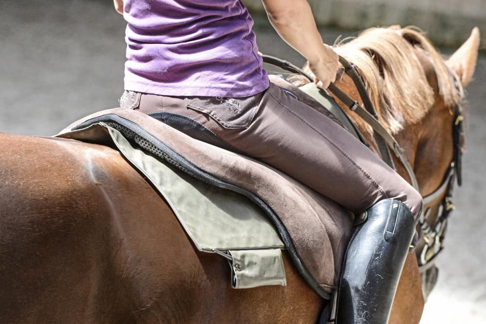 CAV Reitkissen Reitpads 1
