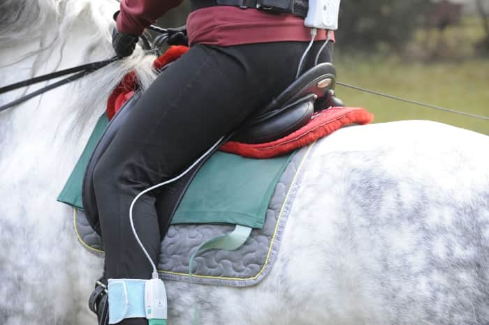 CAV Sattel-Pads Pads Sattelunterlage Test