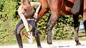 cav-201902-no-go-hinterbein-mit-TEASER-fsp-2257-schmid-v-amendo (jpg)