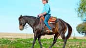 cav-201812-western-liberty-TEASER-aufmacher-TSP-lir6621 (jpg)