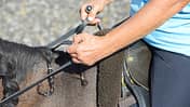 cav-201811-konterlektionen-2-reiten-in-aussenstellung-haende-lir3175-v-amendo (jpg)