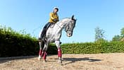 CAV Dressur Volten Kreisel Ellinger