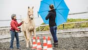 cav-mutmacher-teil-3-bild-2-lir3436-mit-TEASER (jpg)