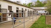 CAV Reitschul-Test in Coburg: Reitgemeinschaft Coburg-Rödental 3
