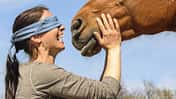 CAV Blind Date Pferd mit verbundenen Augen erkennen Teaser