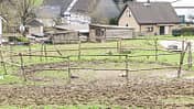 CAV Reitschultest Bergisches Land 12 Oaks Ranch 3