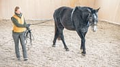 cav-doppel-longe-201703-5-ohne-pferd-lir7531 (jpg)