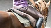 CAV Reitkissen Reitpads 1