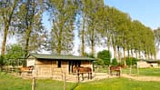 CAV Stall Scout Hahnenhof in Pulheim 3