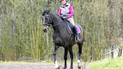 CAV Seitengänge 17